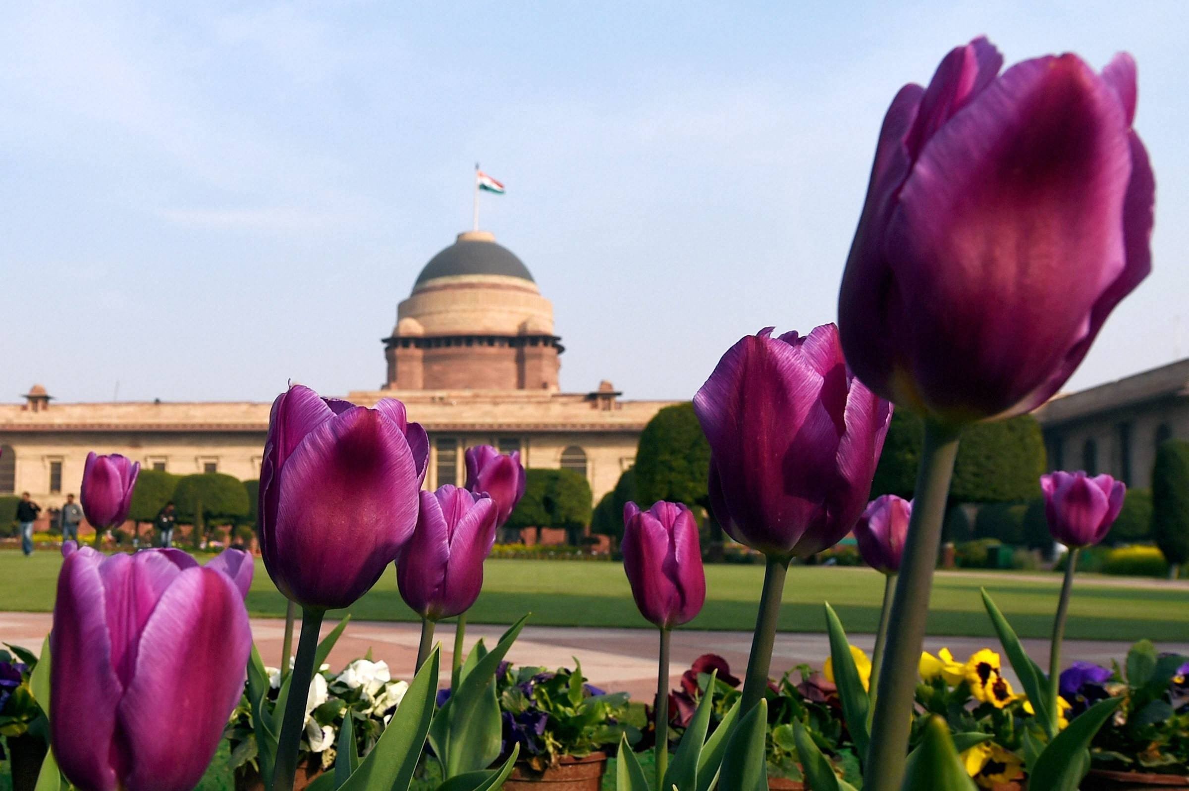 The Mughal Gardens will remain open for the general public from 4th of February to the 10th of March, between 9 in the morning to 4 in the evening.